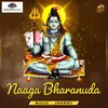 About Naaga Bharanuda Song